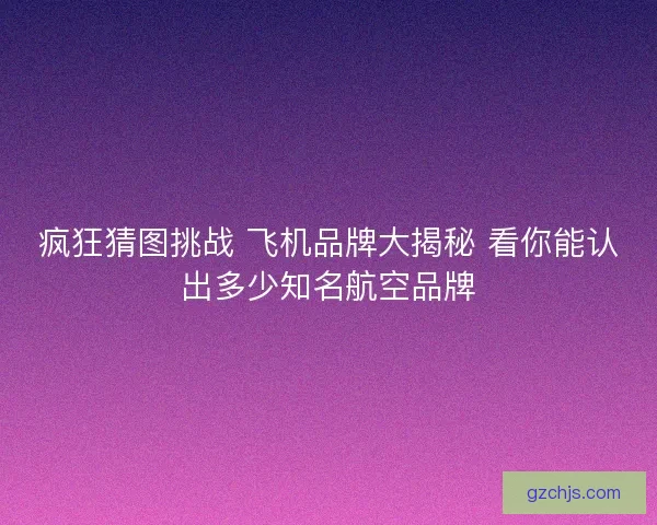 疯狂猜图挑战 飞机品牌大揭秘 看你能认出多少知名航空品牌